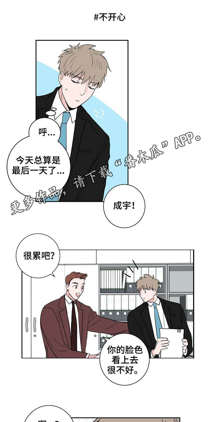 《猫狗攻防战》漫画最新章节第28章：回归免费下拉式在线观看章节第【15】张图片