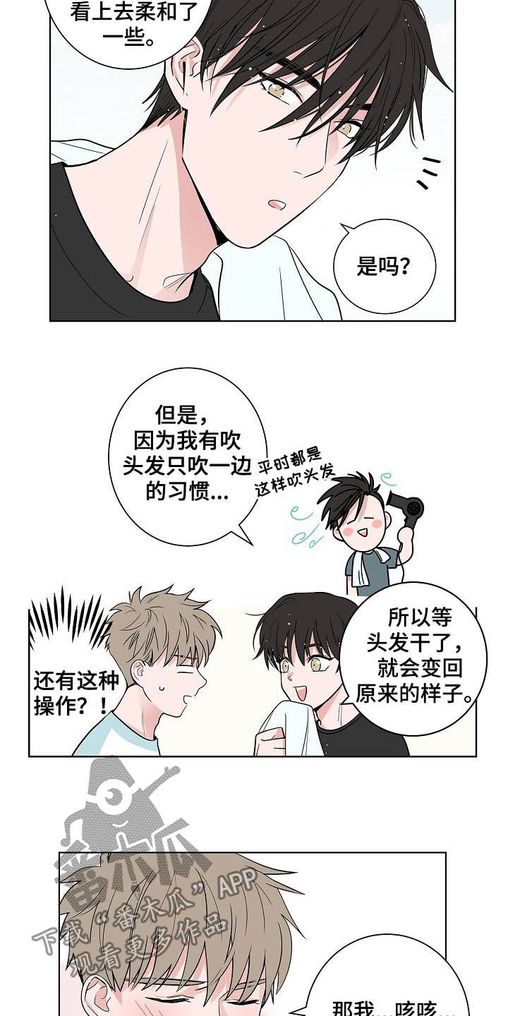 《猫狗攻防战》漫画最新章节第37章：淋雨免费下拉式在线观看章节第【6】张图片