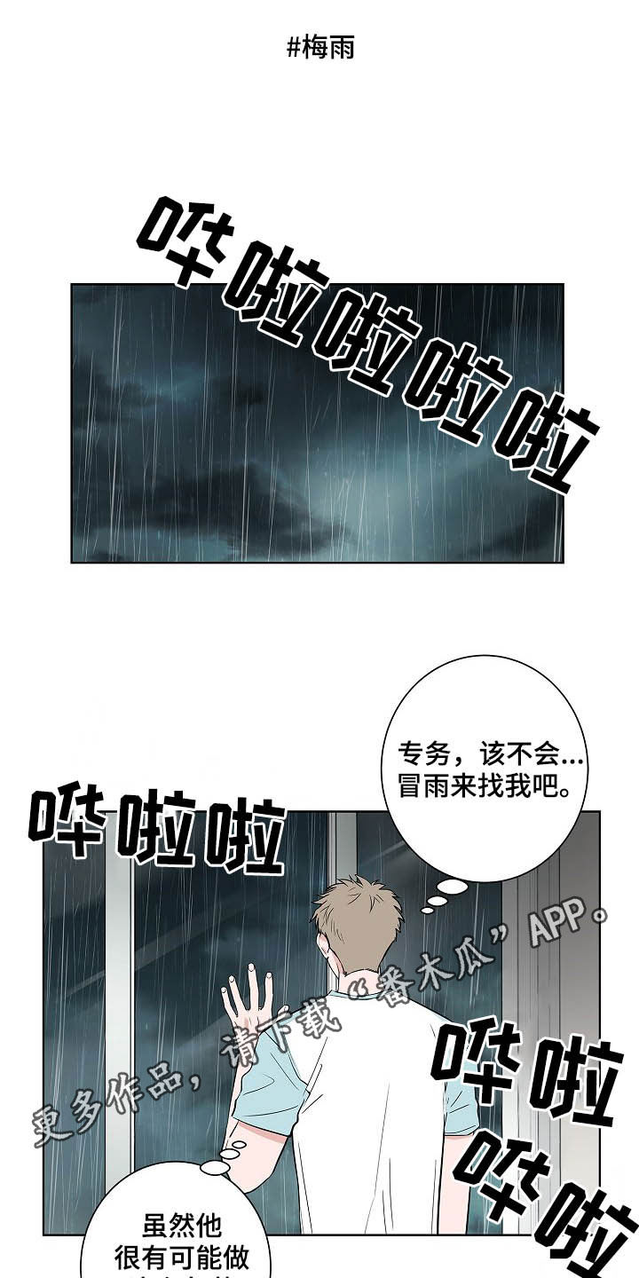 猫狗攻防战-第37章：淋雨全彩韩漫标签