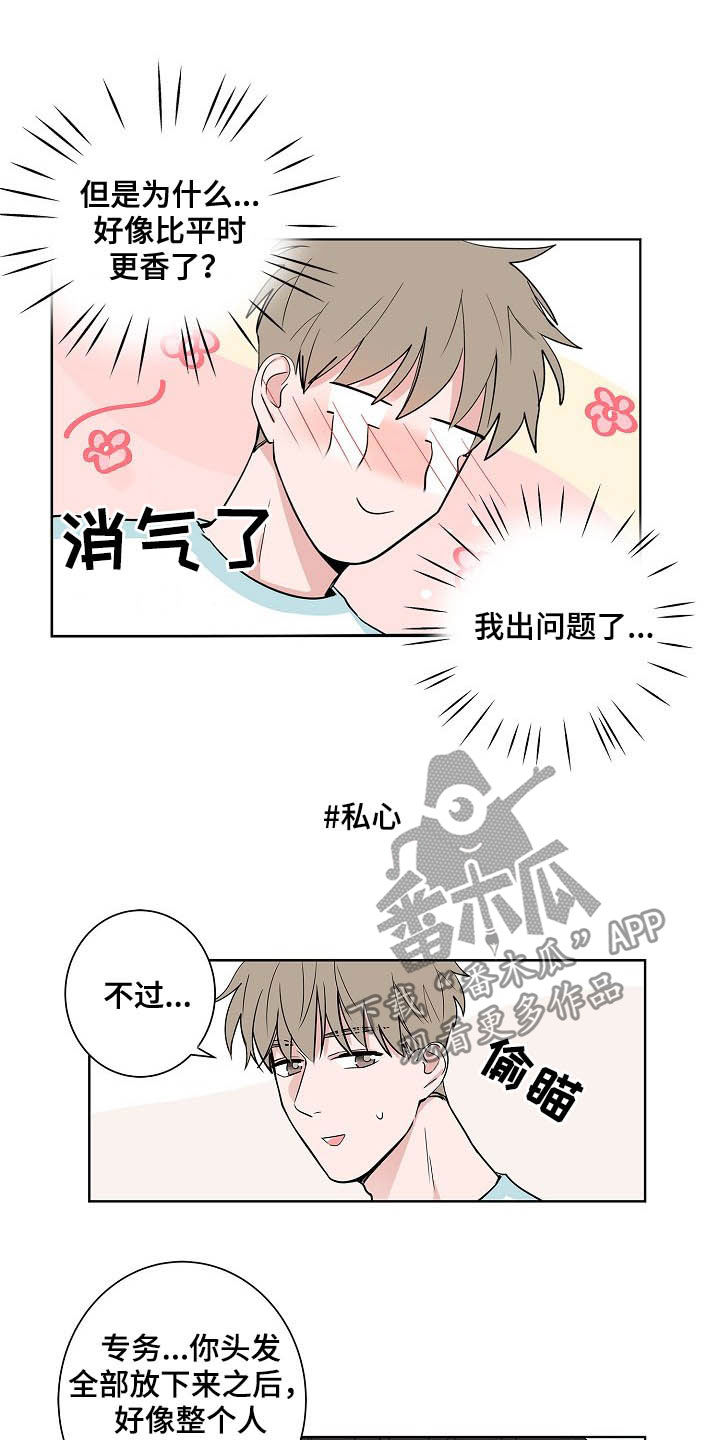 《猫狗攻防战》漫画最新章节第37章：淋雨免费下拉式在线观看章节第【7】张图片