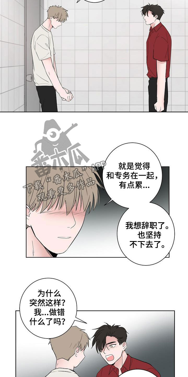 《猫狗攻防战》漫画最新章节第51章：结束免费下拉式在线观看章节第【5】张图片