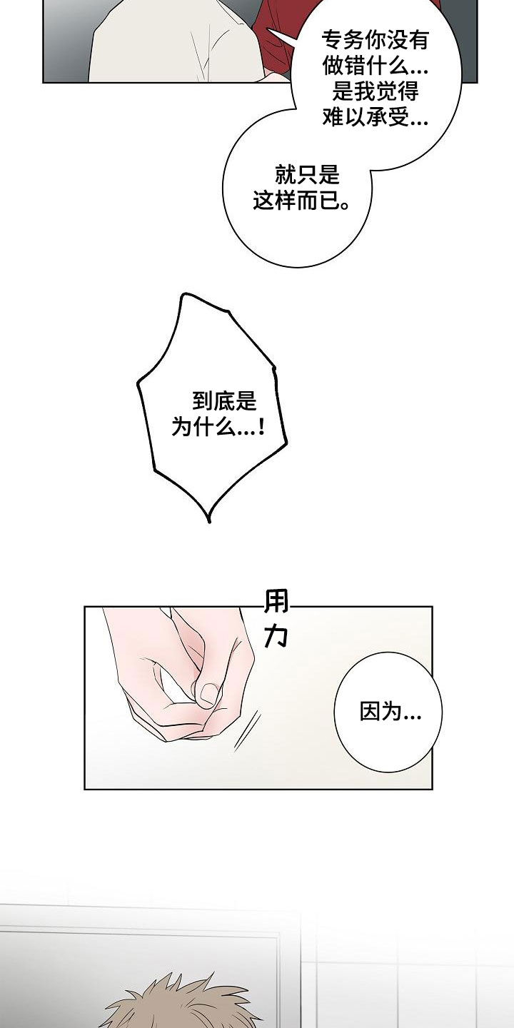 《猫狗攻防战》漫画最新章节第51章：结束免费下拉式在线观看章节第【4】张图片