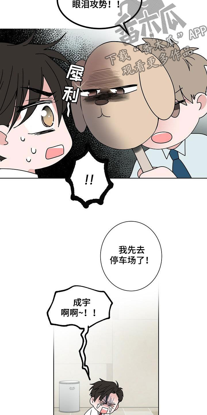 《猫狗攻防战》漫画最新章节第57章：告别免费下拉式在线观看章节第【9】张图片