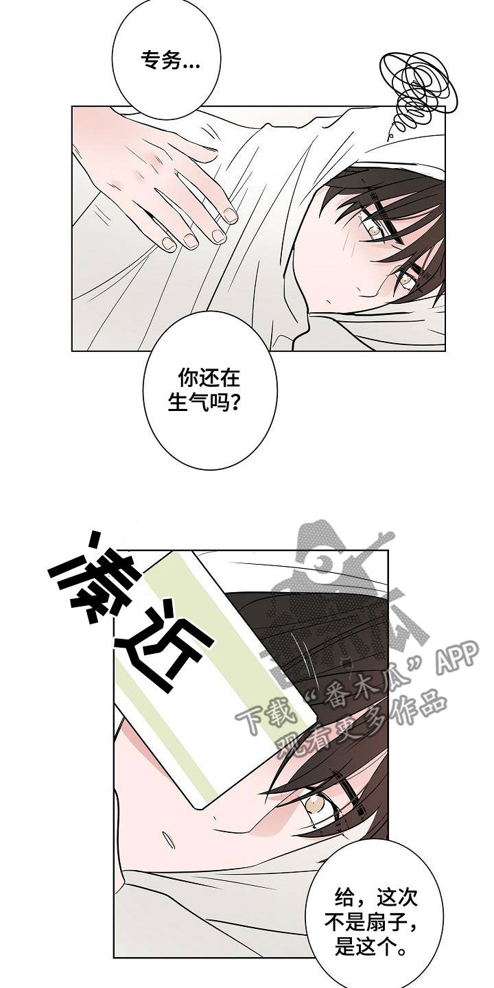 《猫狗攻防战》漫画最新章节第58章：釜山行免费下拉式在线观看章节第【5】张图片