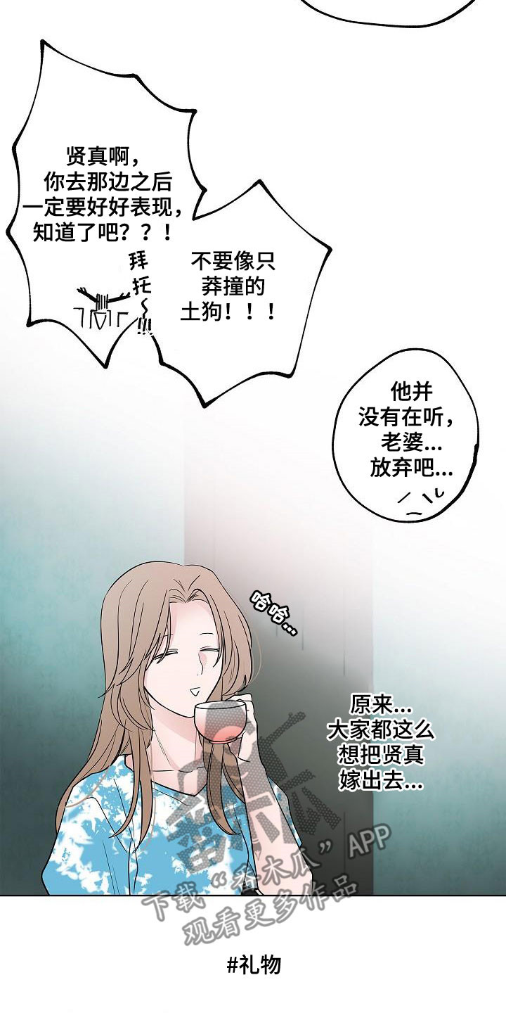 《猫狗攻防战》漫画最新章节第59章：抵达免费下拉式在线观看章节第【11】张图片