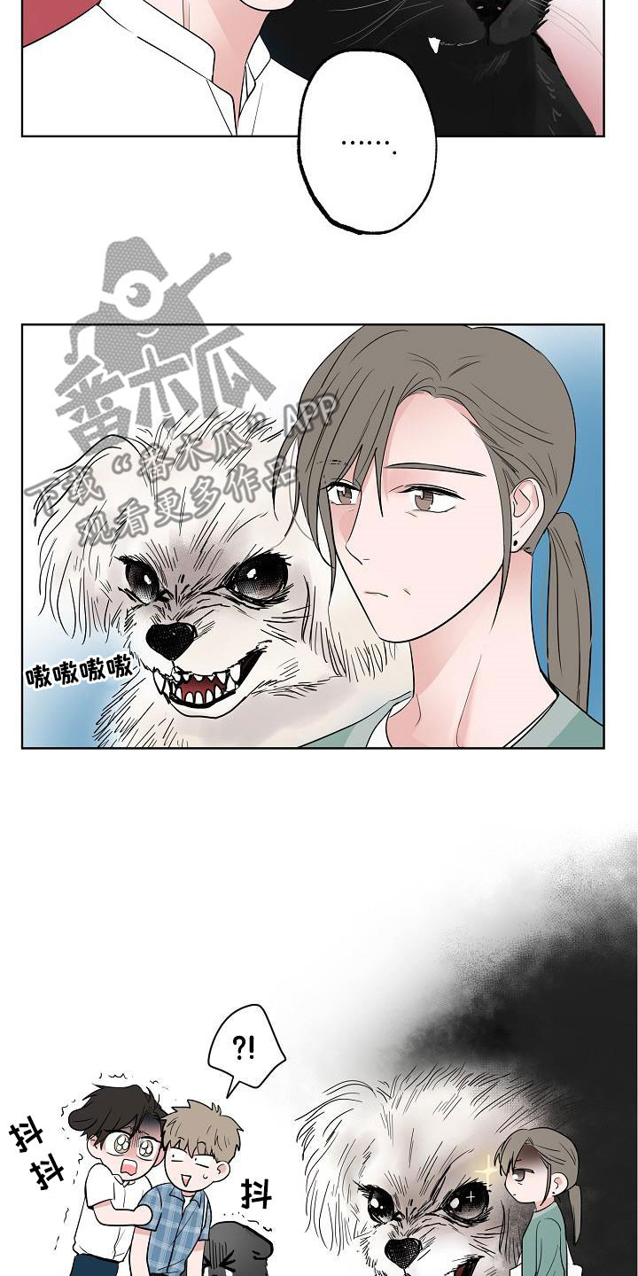 《猫狗攻防战》漫画最新章节第60章：如释重负免费下拉式在线观看章节第【18】张图片