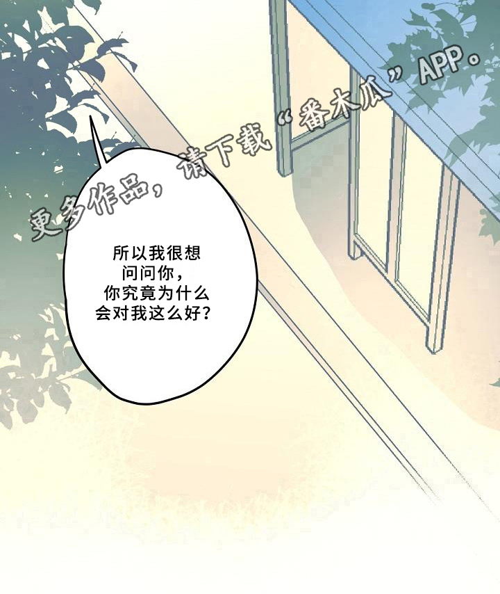 《线性错误》漫画最新章节第23章：好奇免费下拉式在线观看章节第【1】张图片