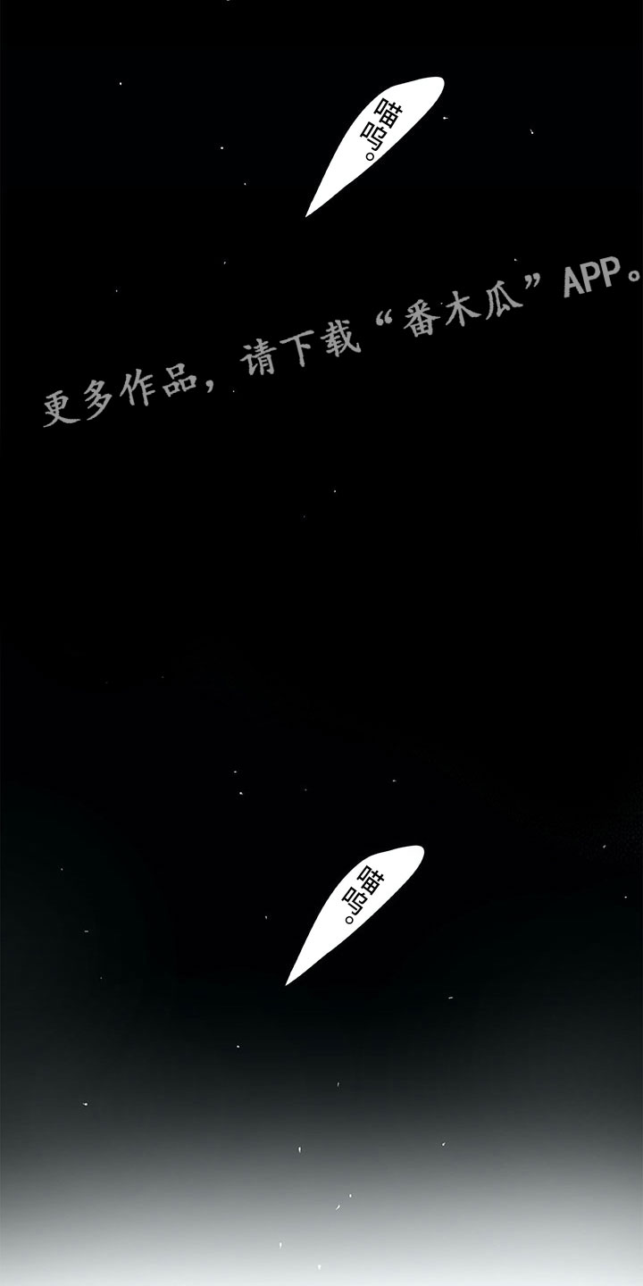 《相恋49日》漫画最新章节第18章：猫咪免费下拉式在线观看章节第【6】张图片