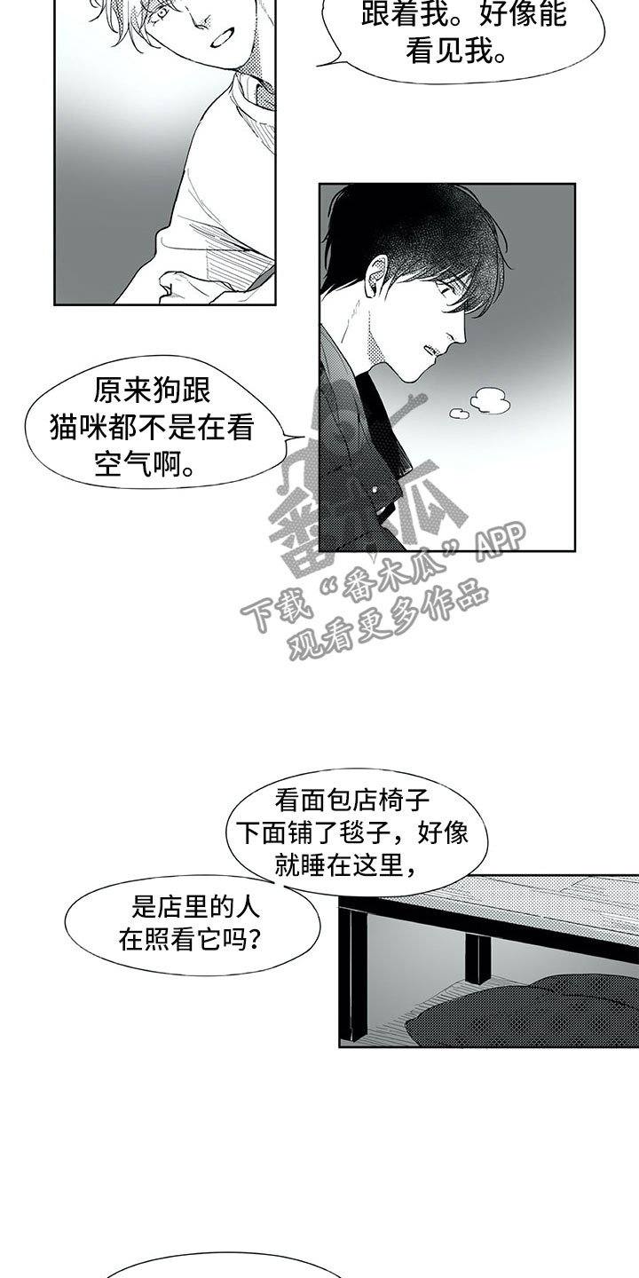 《相恋49日》漫画最新章节第18章：猫咪免费下拉式在线观看章节第【2】张图片