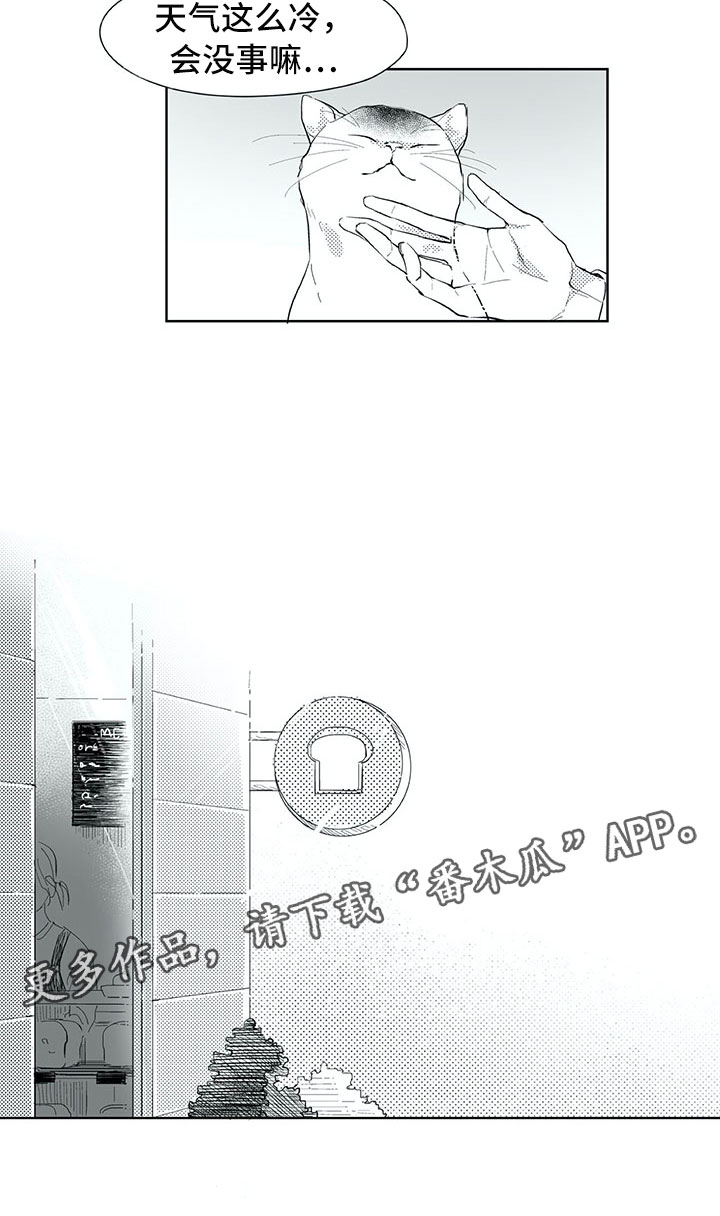 《相恋49日》漫画最新章节第18章：猫咪免费下拉式在线观看章节第【1】张图片