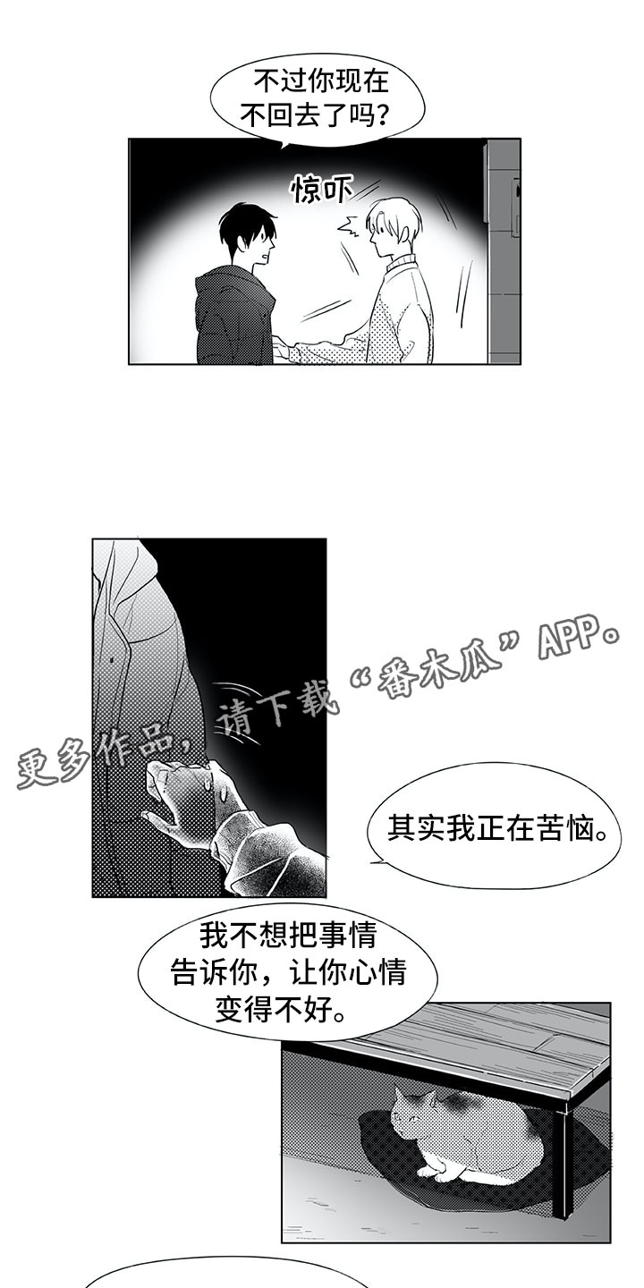 《相恋49日》漫画最新章节第18章：猫咪免费下拉式在线观看章节第【11】张图片