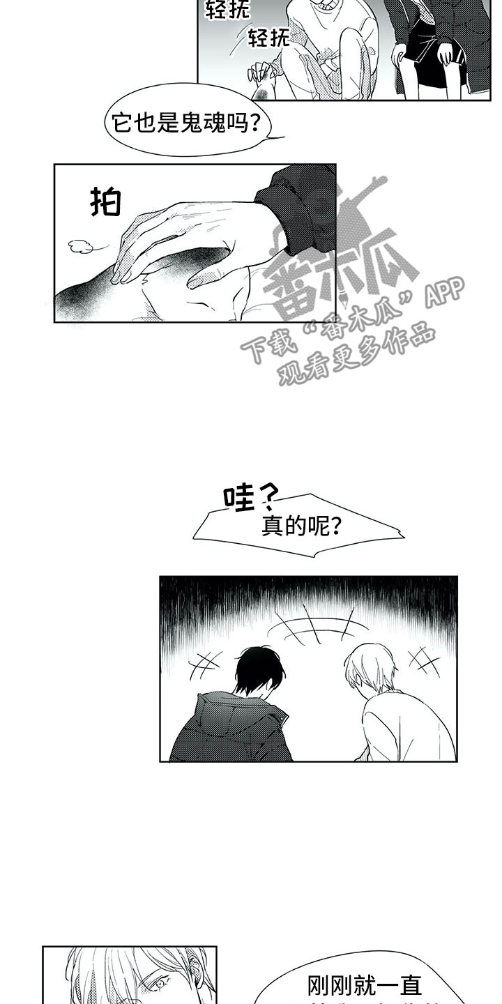 《相恋49日》漫画最新章节第18章：猫咪免费下拉式在线观看章节第【3】张图片