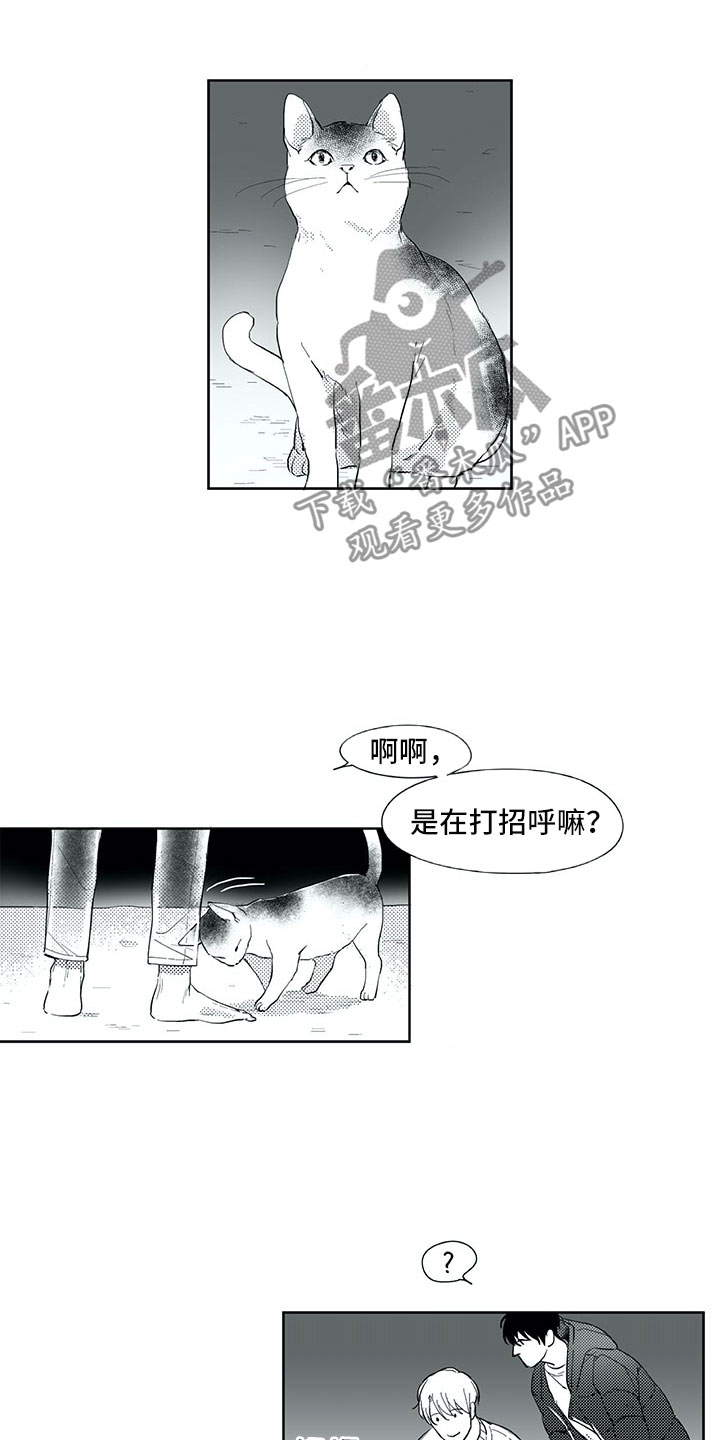 《相恋49日》漫画最新章节第18章：猫咪免费下拉式在线观看章节第【4】张图片