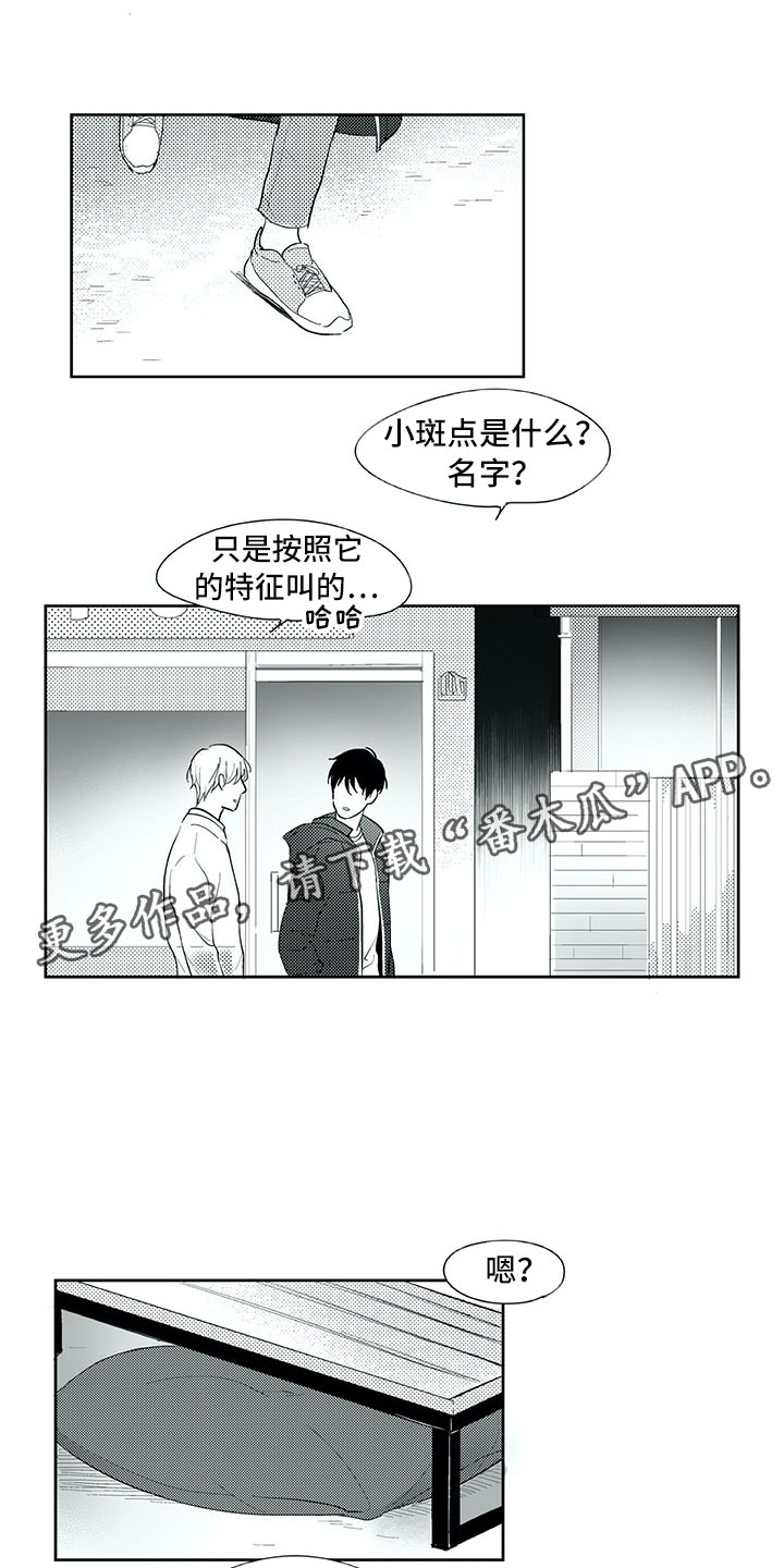 《相恋49日》漫画最新章节第24章：笑容免费下拉式在线观看章节第【6】张图片