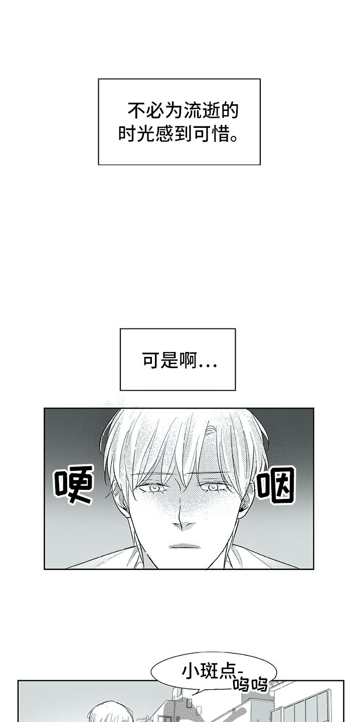 《相恋49日》漫画最新章节第29章：时间免费下拉式在线观看章节第【8】张图片