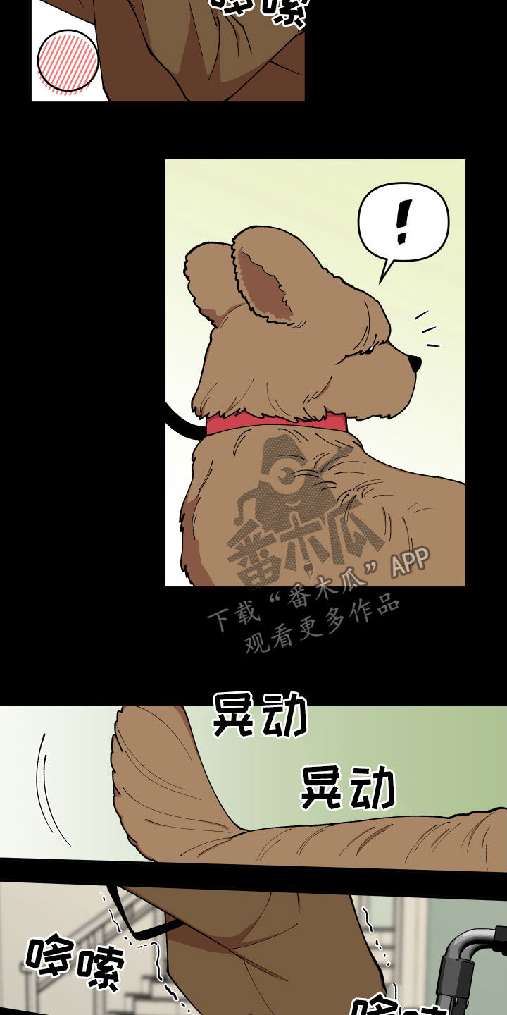 《请听我解释》漫画最新章节第42章：狗主人免费下拉式在线观看章节第【10】张图片