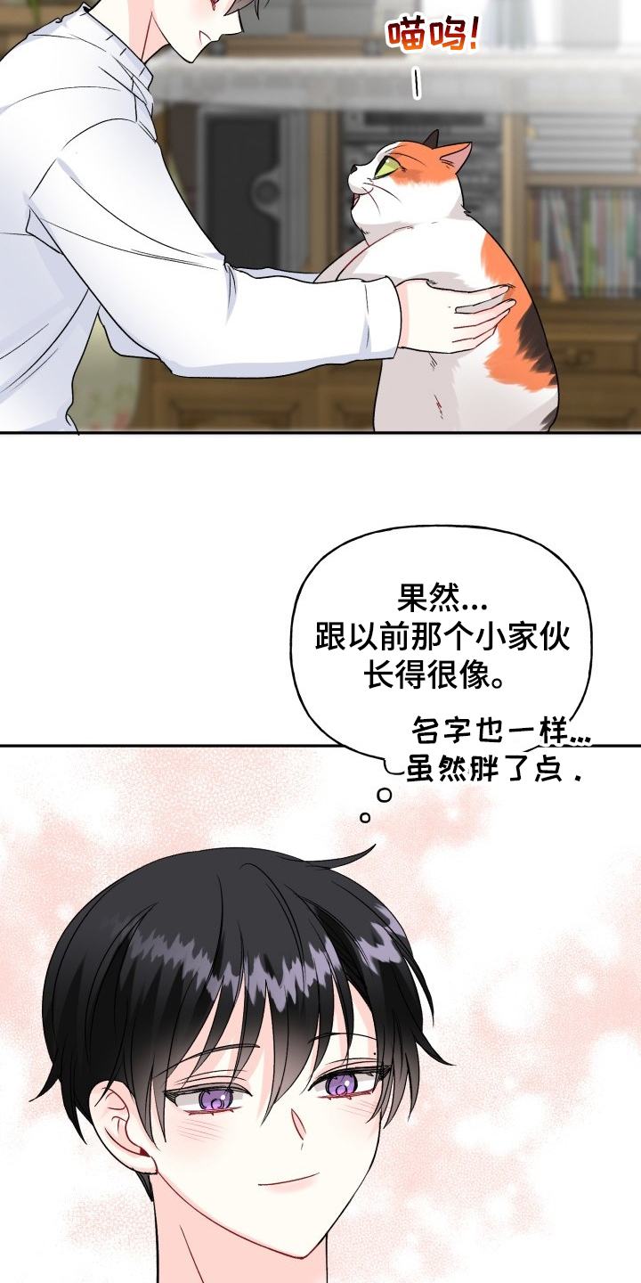 《初恋重逢》漫画最新章节第103章：好像喵喵免费下拉式在线观看章节第【16】张图片