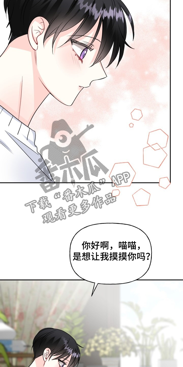 《初恋重逢》漫画最新章节第103章：好像喵喵免费下拉式在线观看章节第【17】张图片