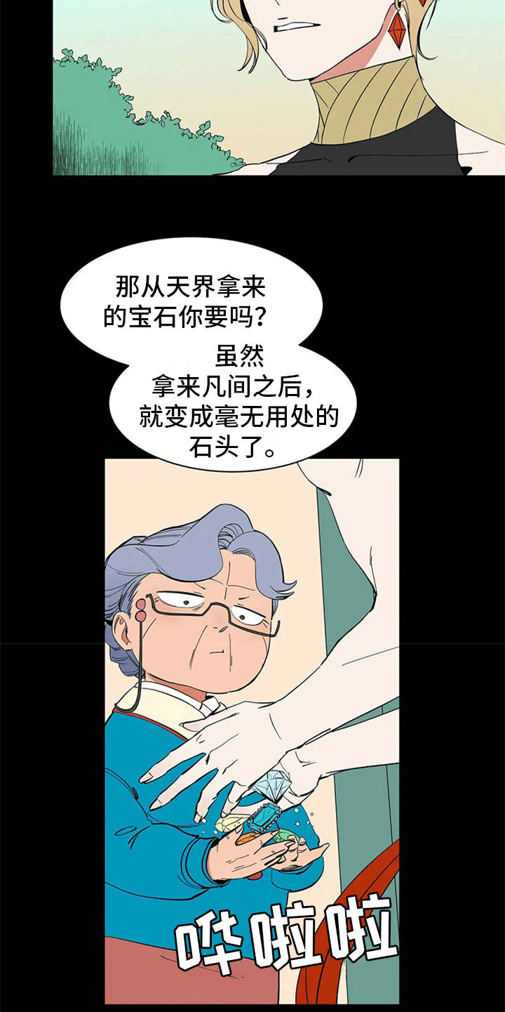 《天神的追随》漫画最新章节第6章：宝石免费下拉式在线观看章节第【2】张图片