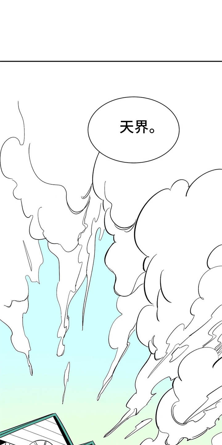 《天神的追随》漫画最新章节第10章：解释免费下拉式在线观看章节第【17】张图片