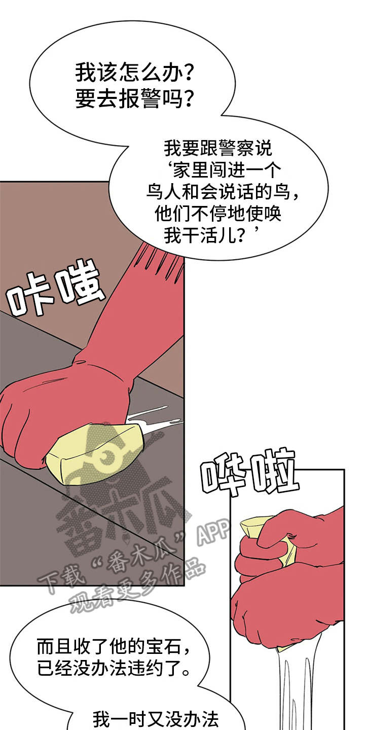 《天神的追随》漫画最新章节第11章：不甘心免费下拉式在线观看章节第【13】张图片