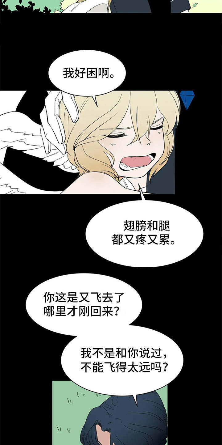 《天神的追随》漫画最新章节第12章：不见了免费下拉式在线观看章节第【10】张图片