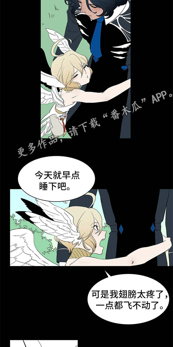 《天神的追随》漫画最新章节第12章：不见了免费下拉式在线观看章节第【9】张图片