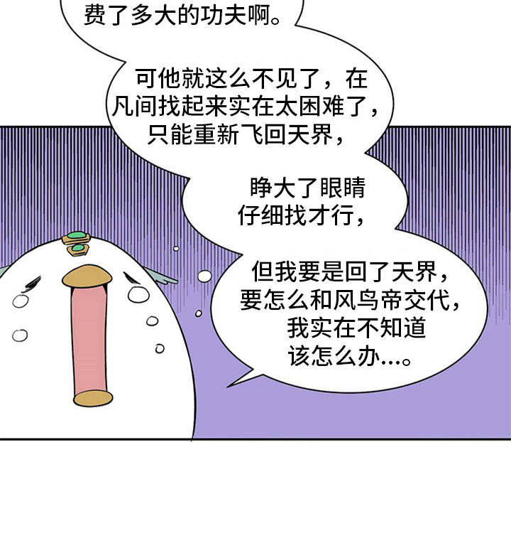 《天神的追随》漫画最新章节第13章：求助免费下拉式在线观看章节第【13】张图片