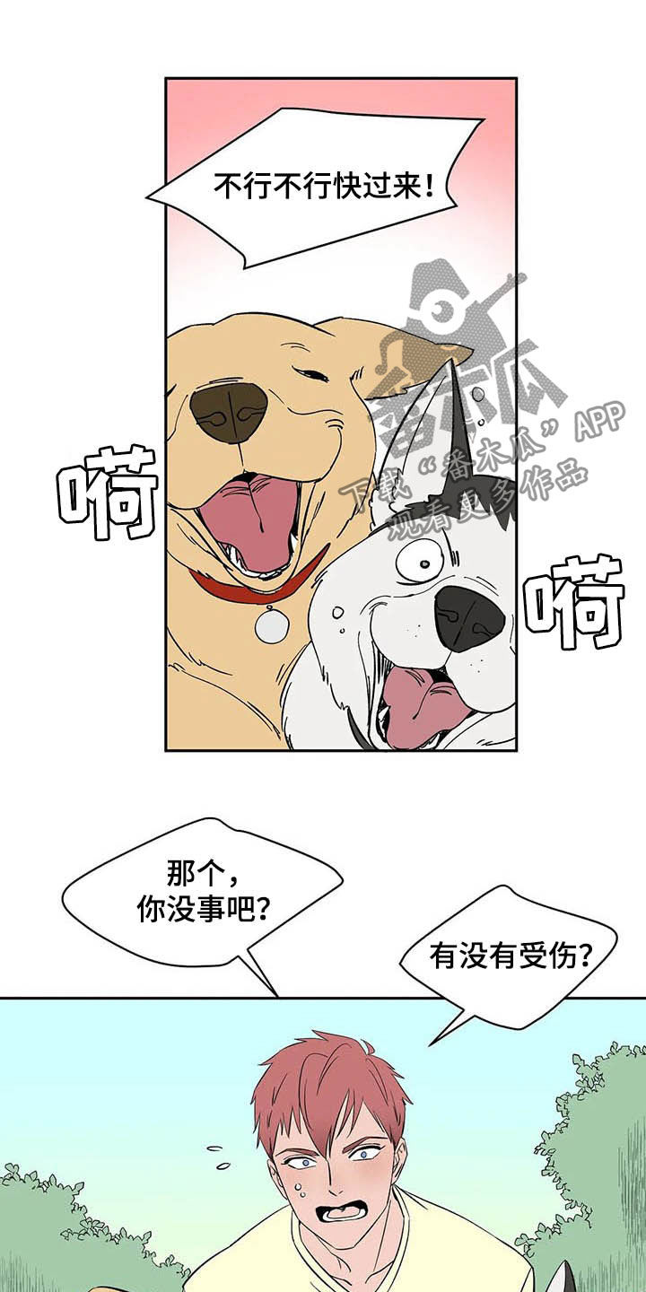 《天神的追随》漫画最新章节第20章：不许看！免费下拉式在线观看章节第【9】张图片