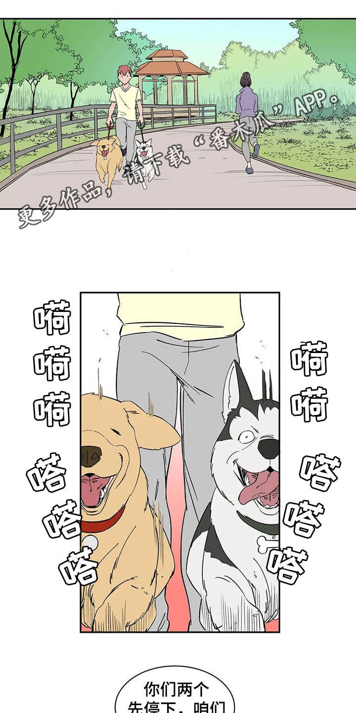 《天神的追随》漫画最新章节第20章：不许看！免费下拉式在线观看章节第【17】张图片