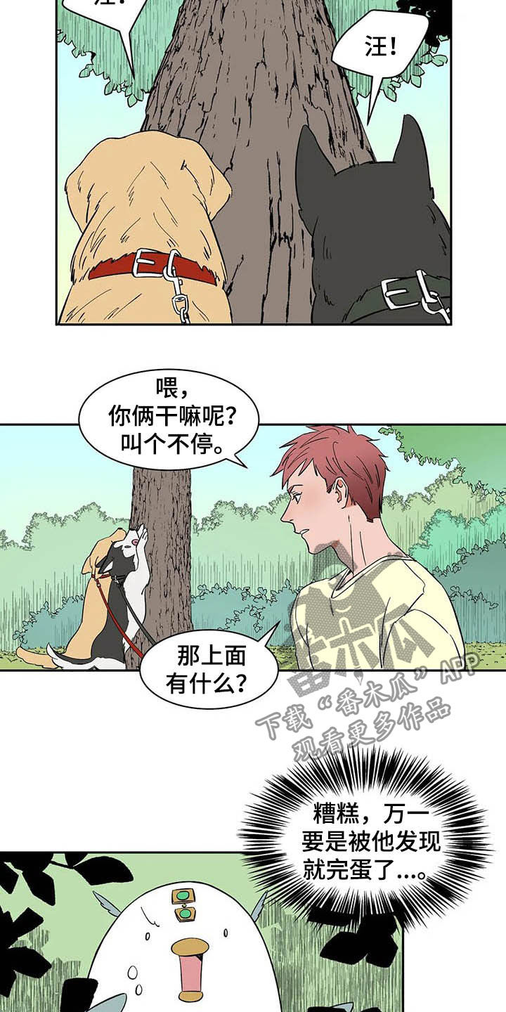 《天神的追随》漫画最新章节第20章：不许看！免费下拉式在线观看章节第【12】张图片