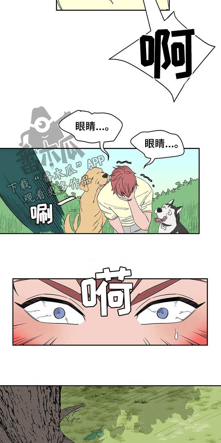 《天神的追随》漫画最新章节第20章：不许看！免费下拉式在线观看章节第【3】张图片