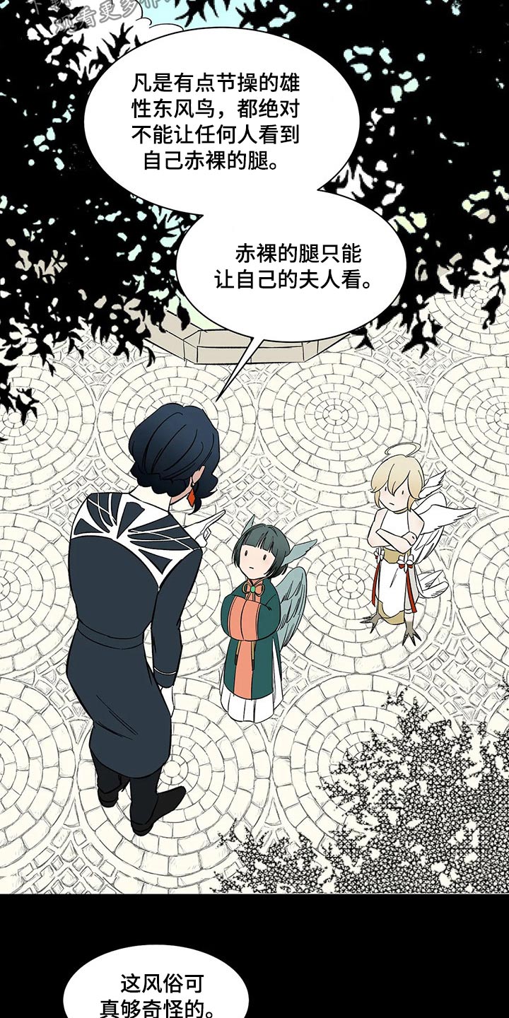 《天神的追随》漫画最新章节第24章：习俗免费下拉式在线观看章节第【5】张图片