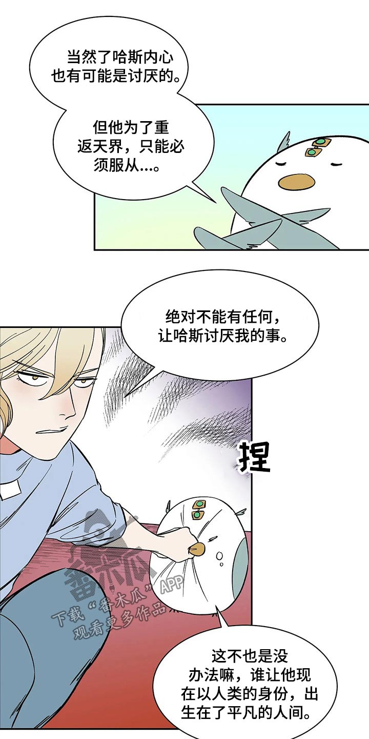 《天神的追随》漫画最新章节第25章：命令免费下拉式在线观看章节第【6】张图片