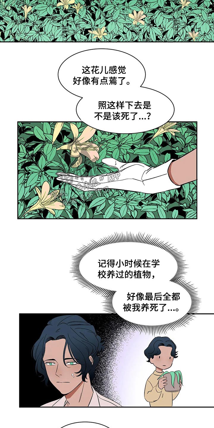 天神的追随-第35章：碰面全彩韩漫标签