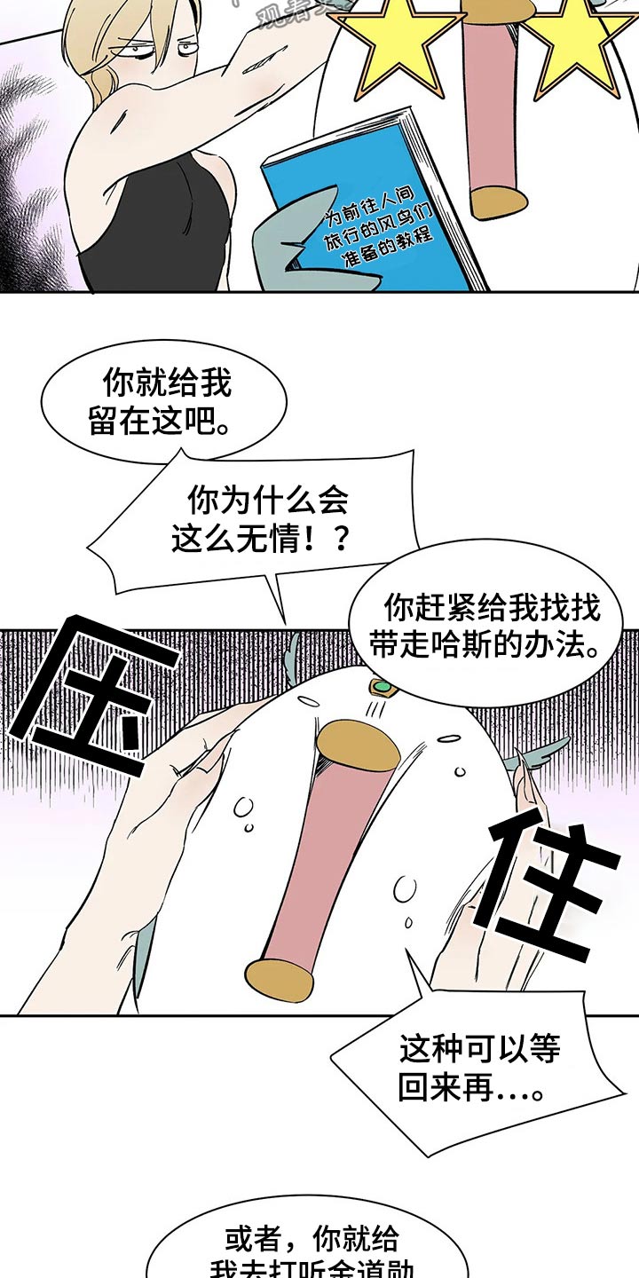 《天神的追随》漫画最新章节第51章：打算免费下拉式在线观看章节第【3】张图片