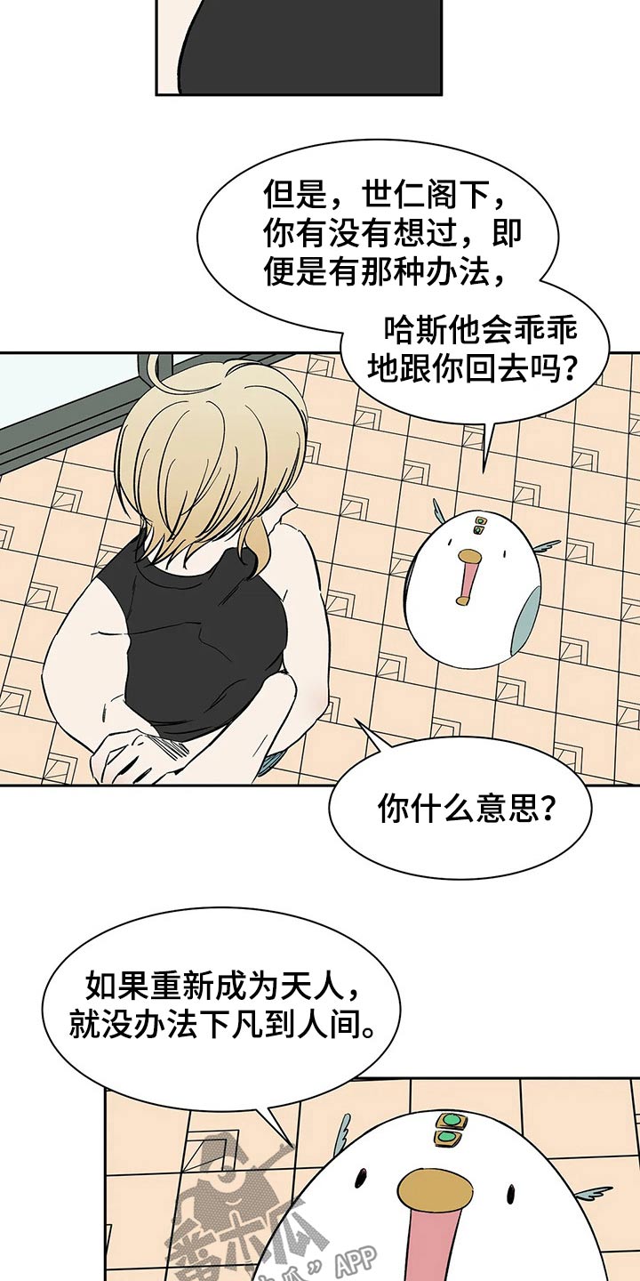 《天神的追随》漫画最新章节第51章：打算免费下拉式在线观看章节第【8】张图片