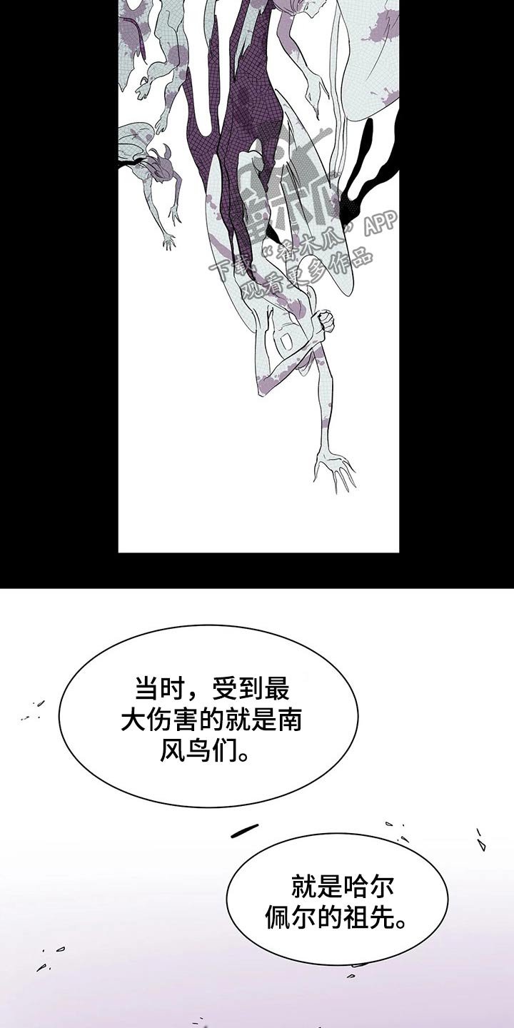 《天神的追随》漫画最新章节第51章：打算免费下拉式在线观看章节第【12】张图片