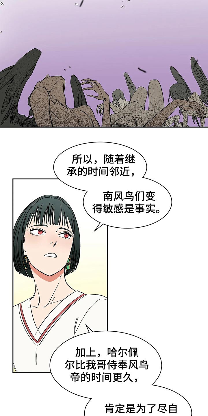 《天神的追随》漫画最新章节第51章：打算免费下拉式在线观看章节第【11】张图片