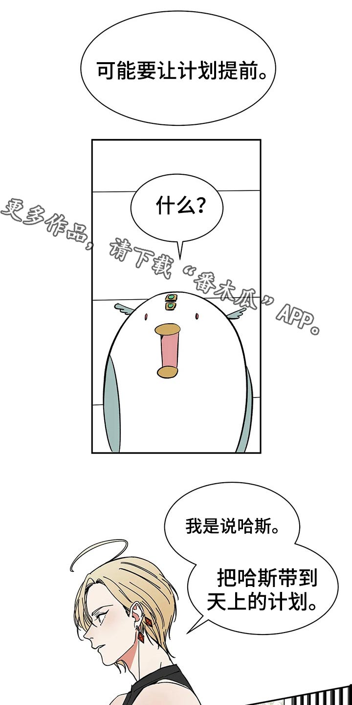 《天神的追随》漫画最新章节第51章：打算免费下拉式在线观看章节第【17】张图片