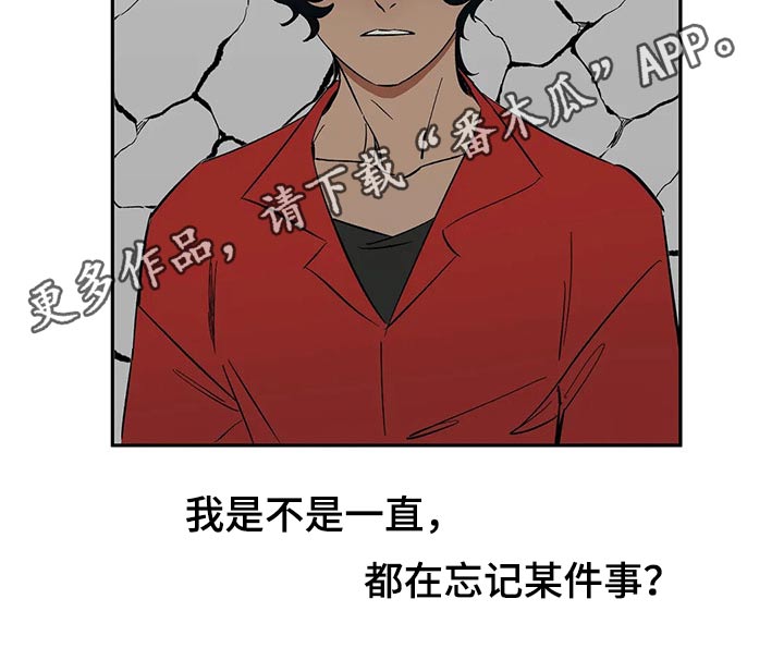 《天神的追随》漫画最新章节第52章：表扬免费下拉式在线观看章节第【1】张图片