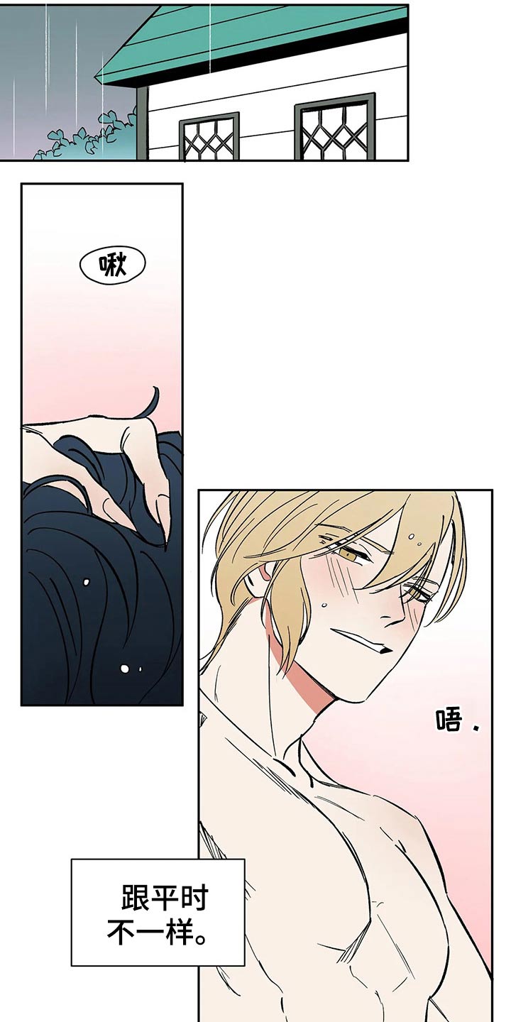 《天神的追随》漫画最新章节第55章：【番外】喜欢免费下拉式在线观看章节第【14】张图片