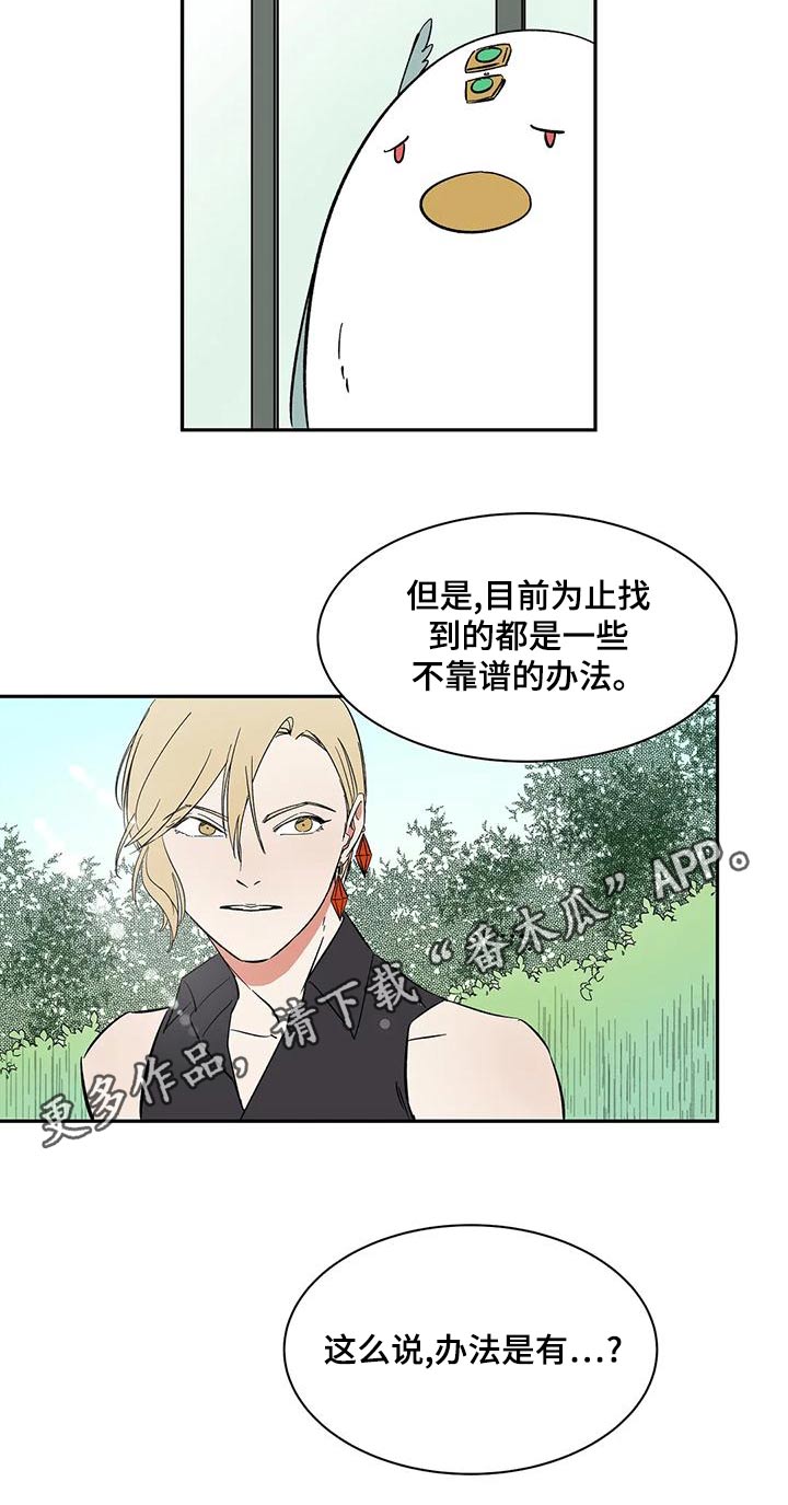 《天神的追随》漫画最新章节第61章：【第二季】办法免费下拉式在线观看章节第【1】张图片