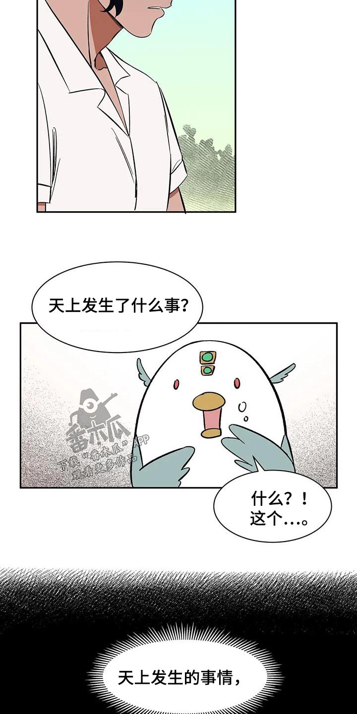 《天神的追随》漫画最新章节第77章：【第二季】好好聊聊免费下拉式在线观看章节第【11】张图片