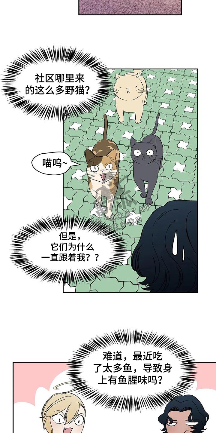 《天神的追随》漫画最新章节第80章：【第二季】特别免费下拉式在线观看章节第【10】张图片