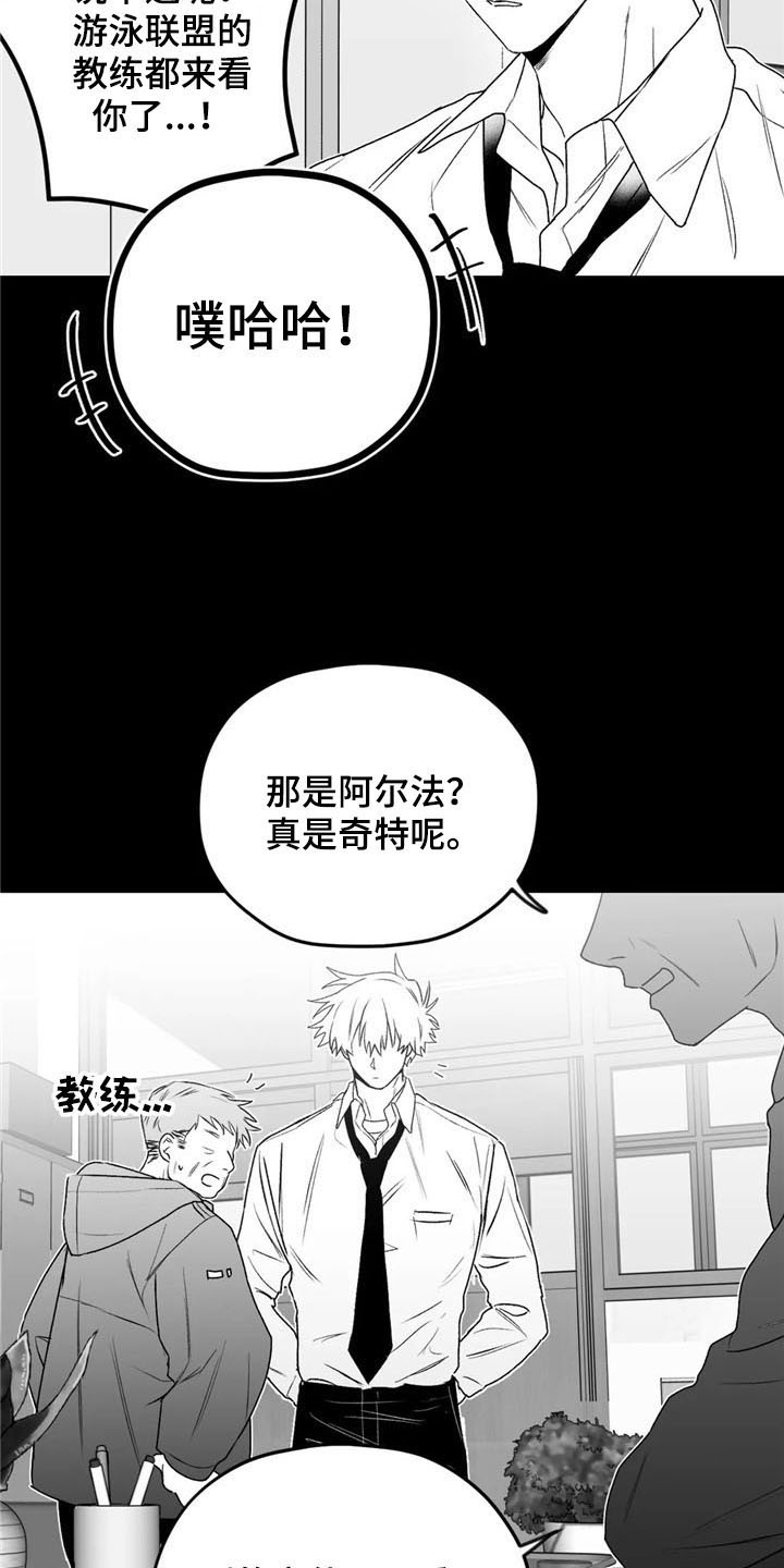 《寻找波浪里的你》漫画最新章节第29章：去路免费下拉式在线观看章节第【14】张图片