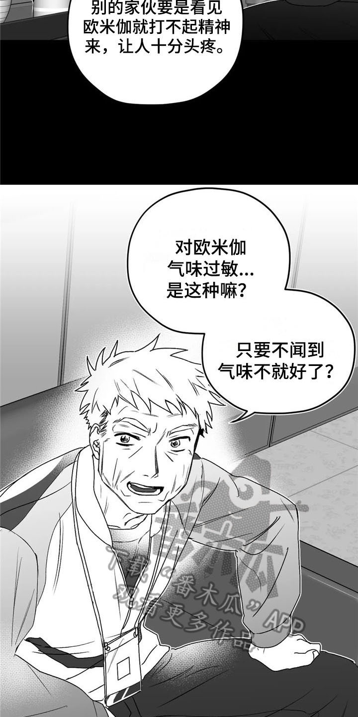 《寻找波浪里的你》漫画最新章节第29章：去路免费下拉式在线观看章节第【13】张图片