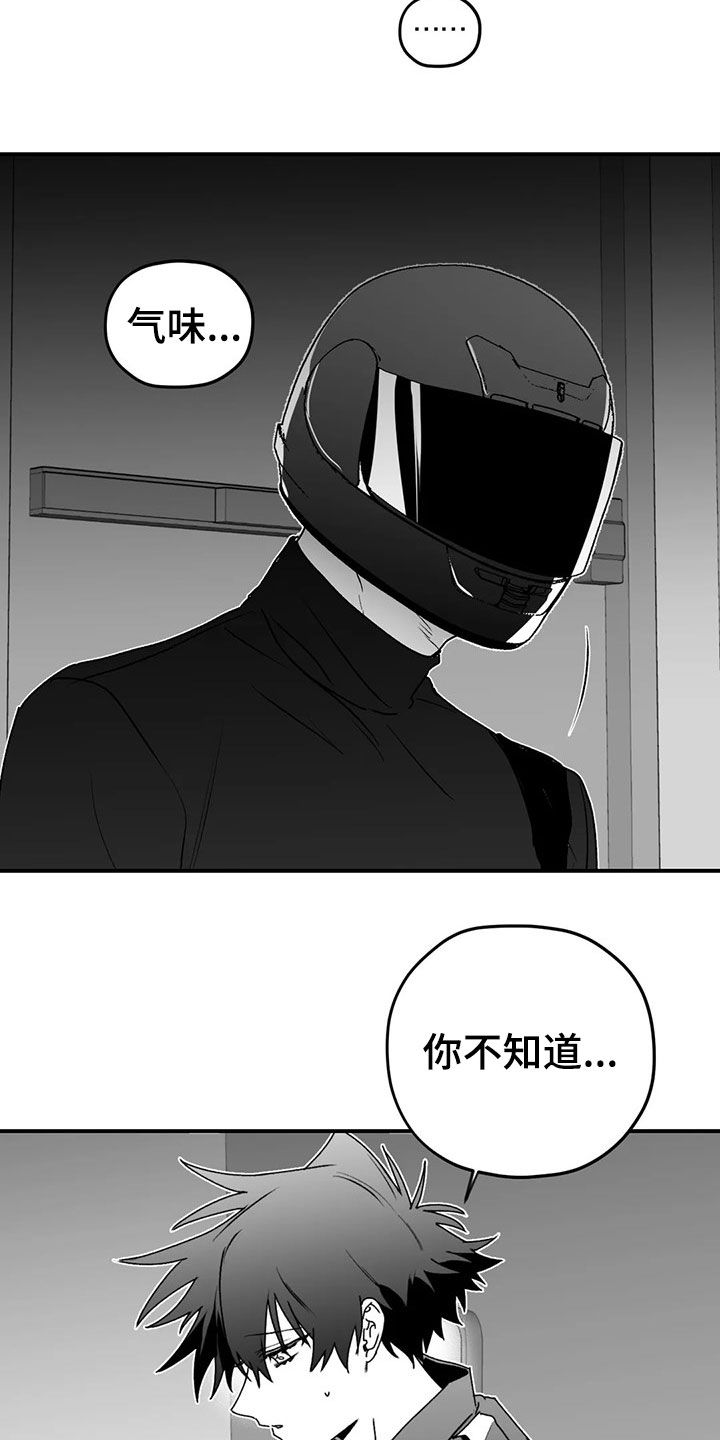 《寻找波浪里的你》漫画最新章节第54章：发现免费下拉式在线观看章节第【23】张图片