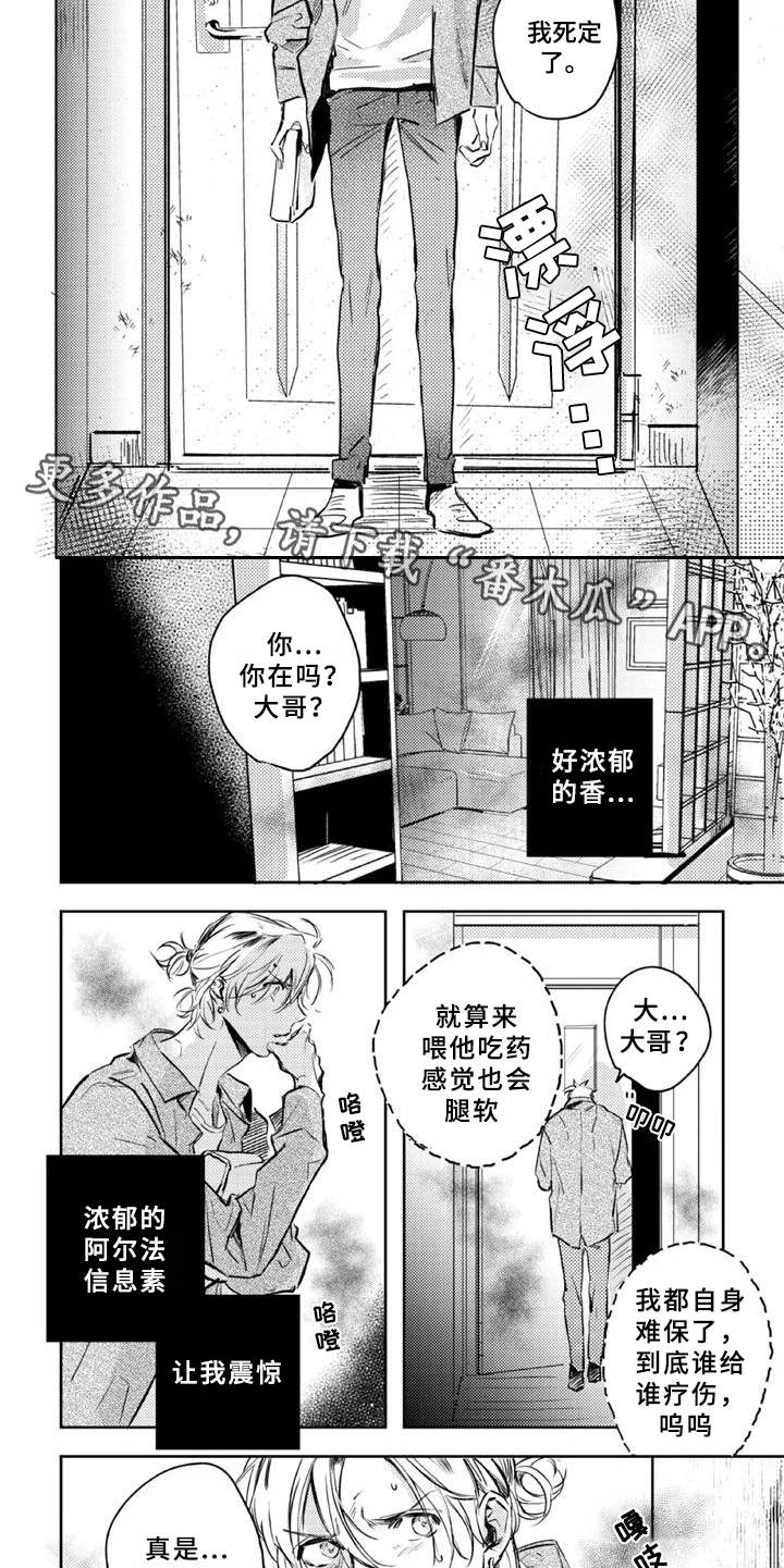 《朋克宝贝》漫画最新章节第6章：疗伤免费下拉式在线观看章节第【5】张图片