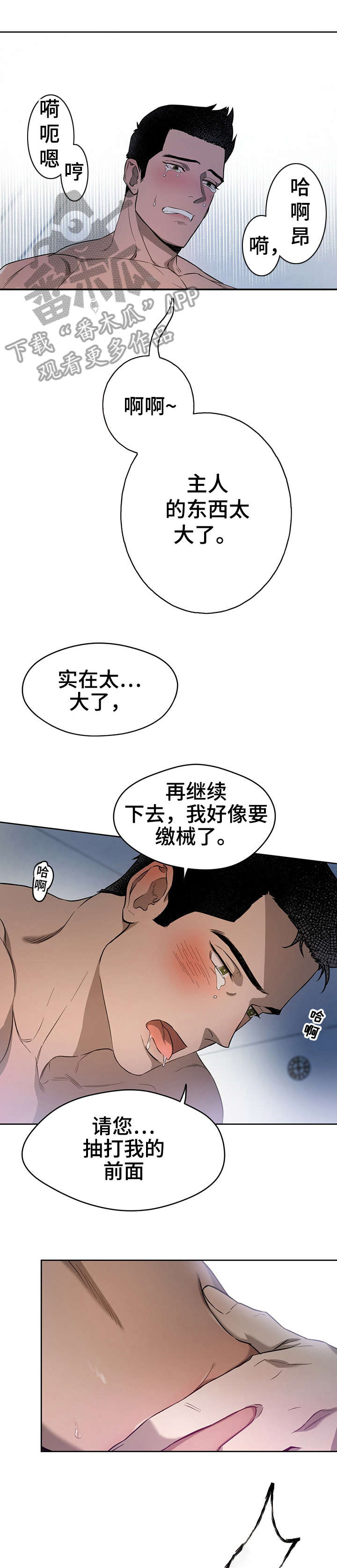 《佣兵保镖》漫画最新章节第23章：小猫咪免费下拉式在线观看章节第【4】张图片